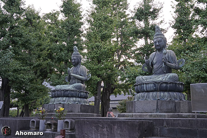 写真00