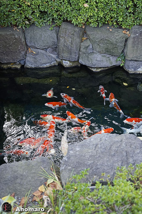 写真00