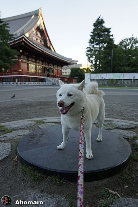 写真00