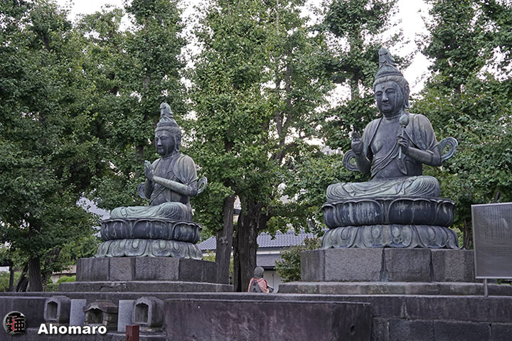 写真00