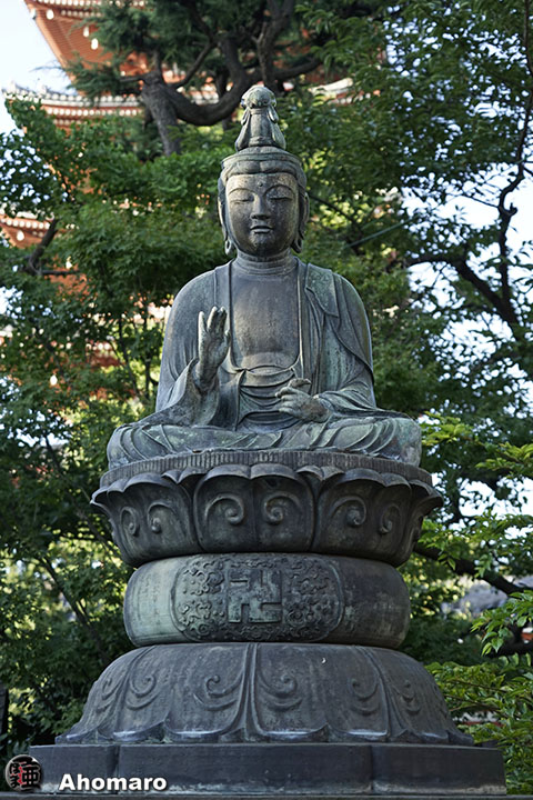 写真00