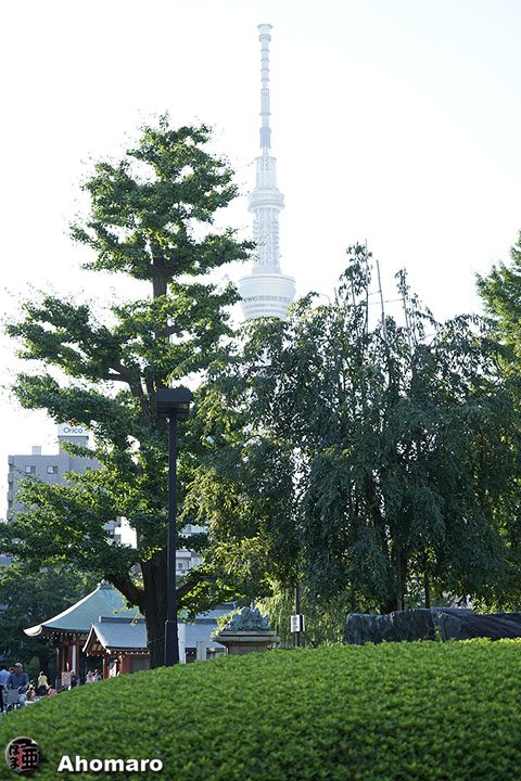 写真00
