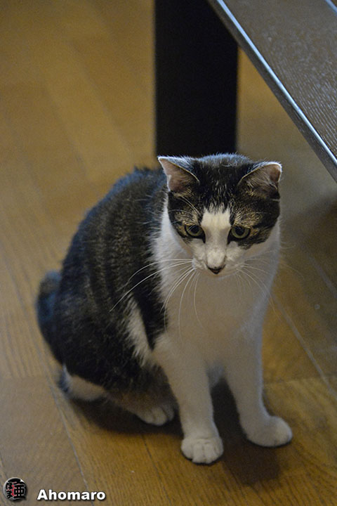 写真00