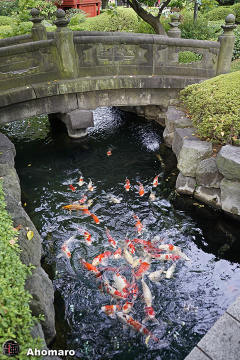 写真00