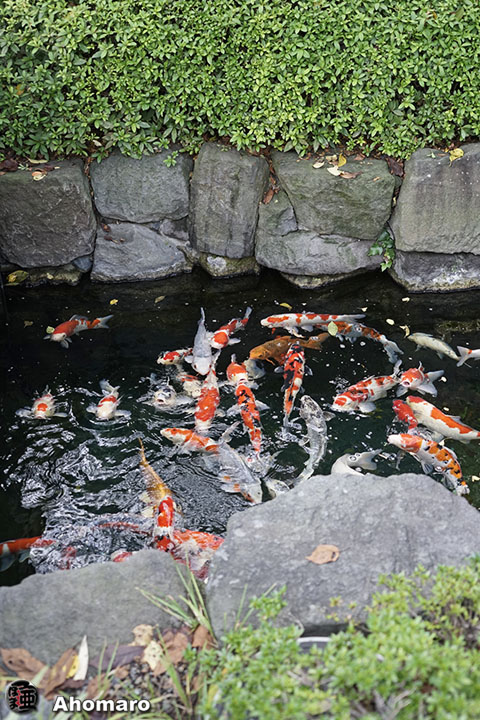 写真00