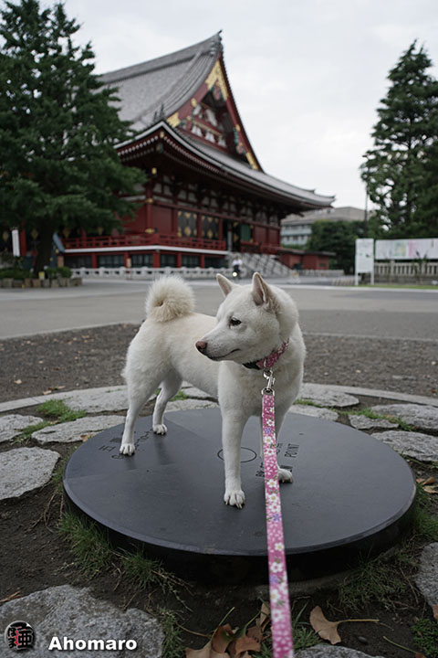写真00