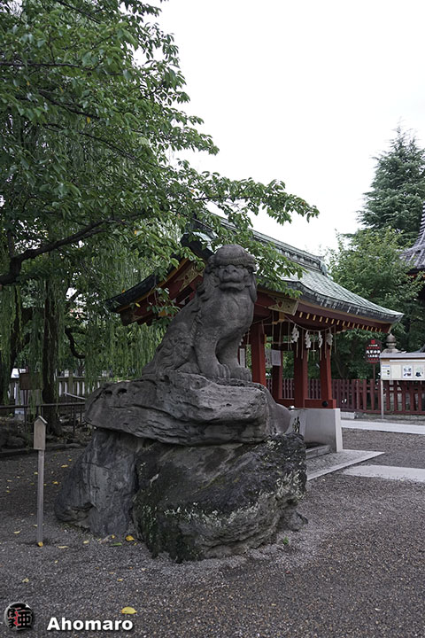 写真00