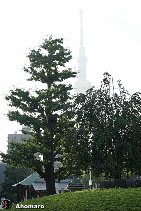 写真00