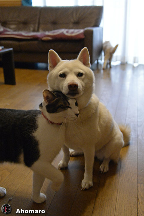 写真00