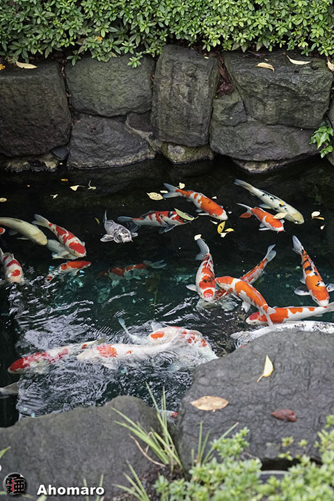 写真00