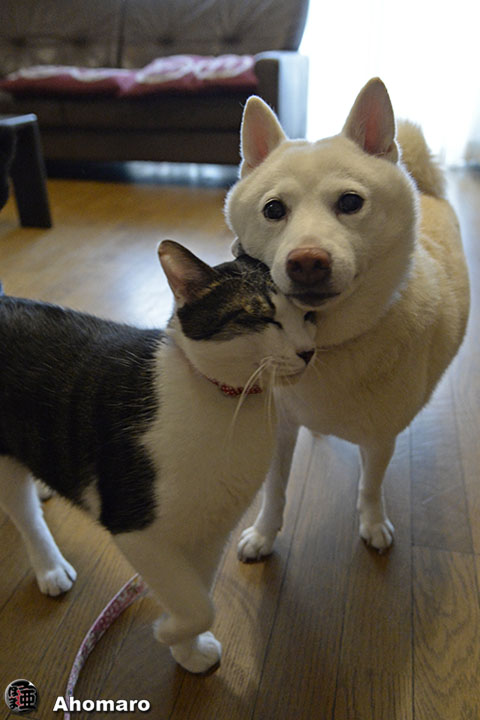 写真00