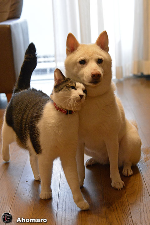 写真00