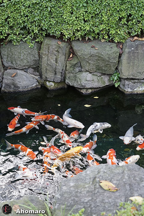 写真00