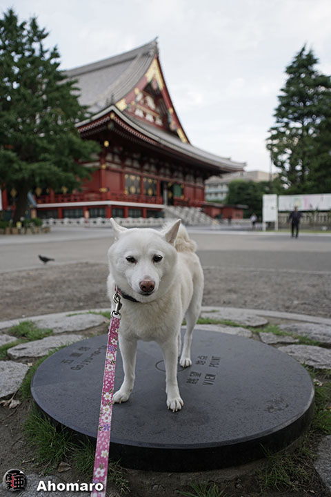 写真00
