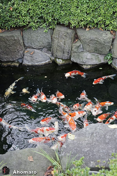 写真00