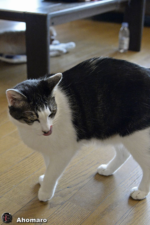 写真00