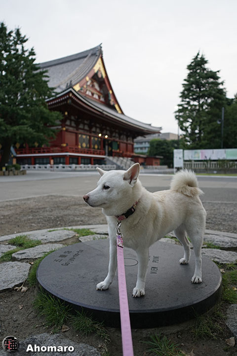 写真00