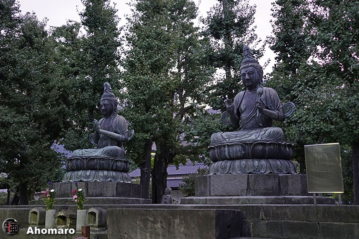 写真00