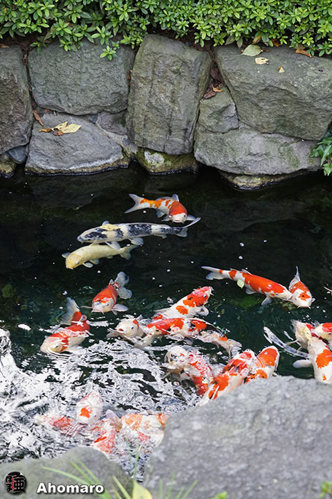 写真00