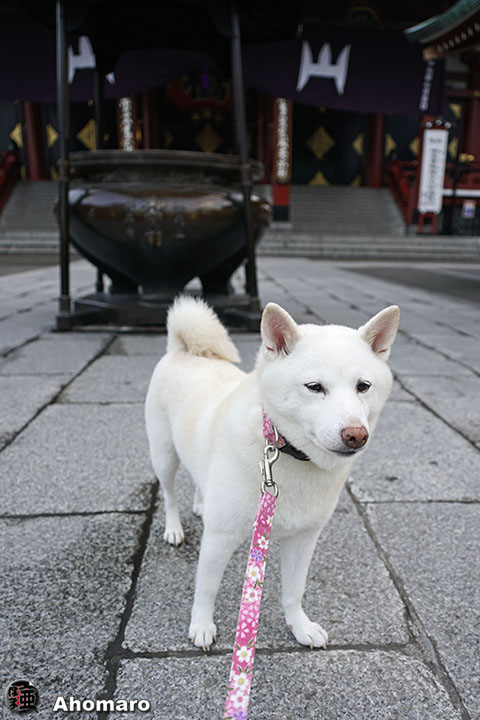 写真00