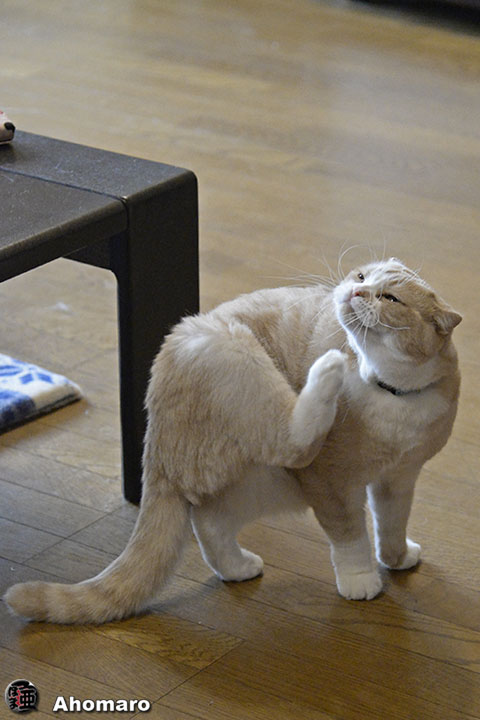 ʐ^00