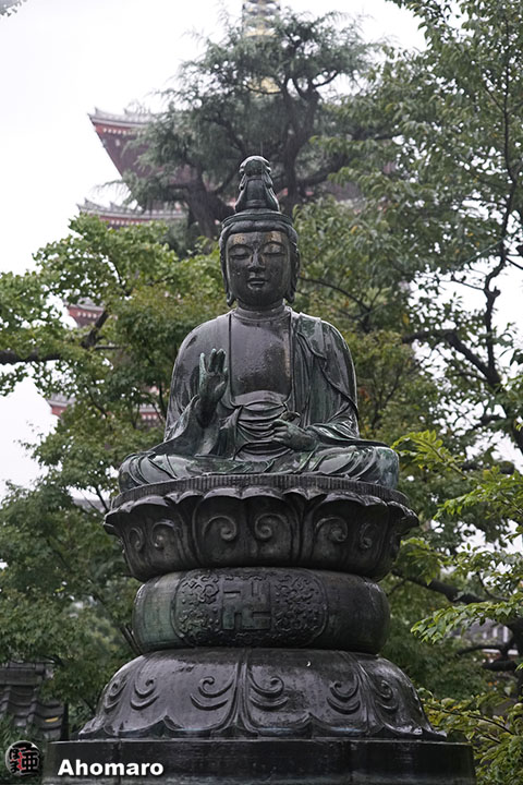 写真00