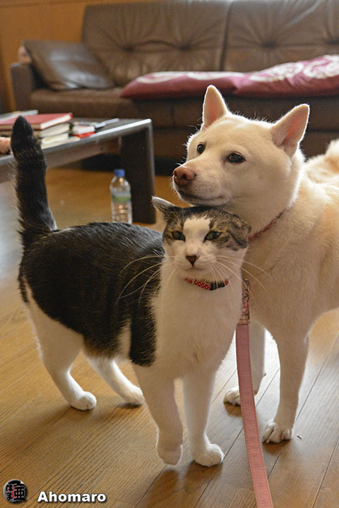 写真00