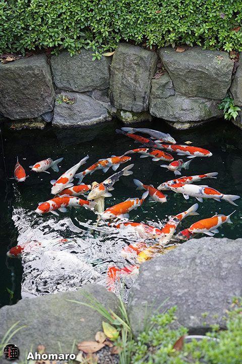 写真00