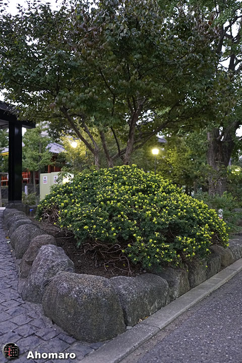 写真00