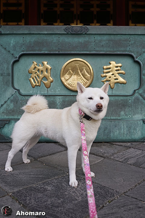 写真00