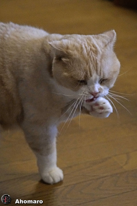 写真00