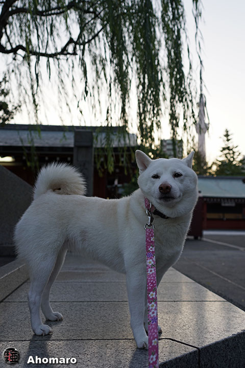 写真00