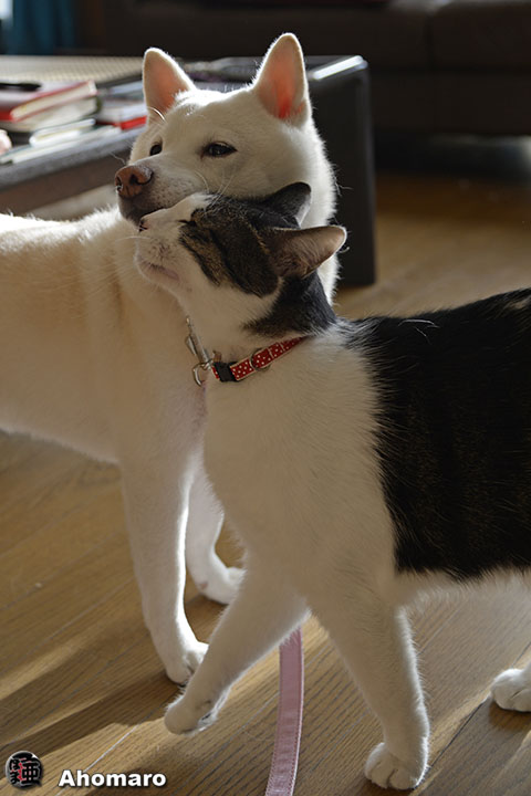 写真00