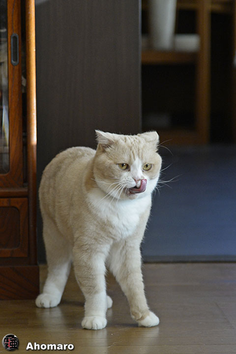 写真00