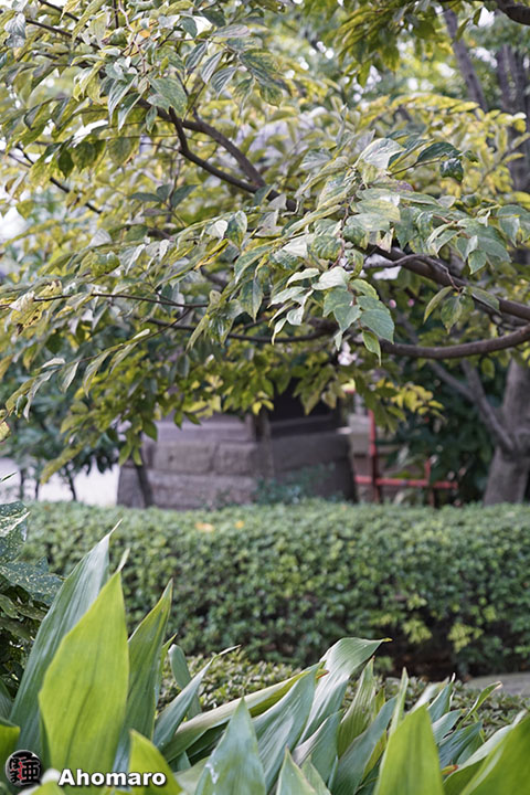 写真00