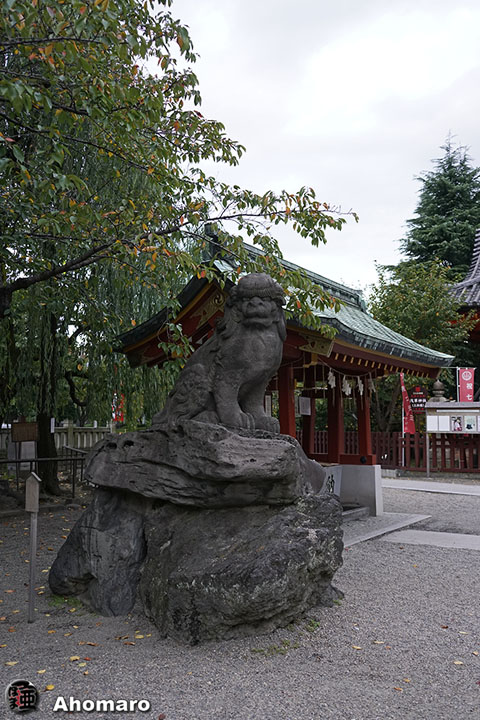 写真00