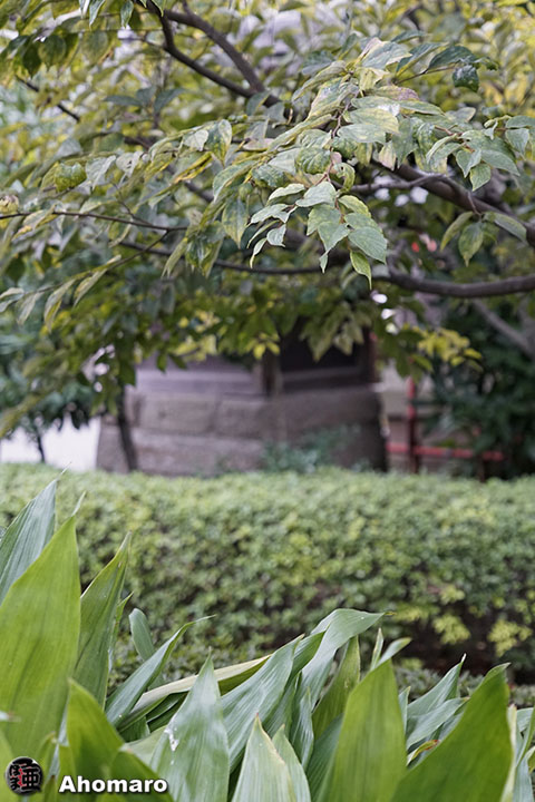 写真00