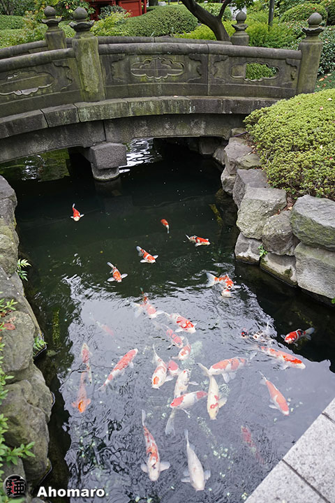 写真00