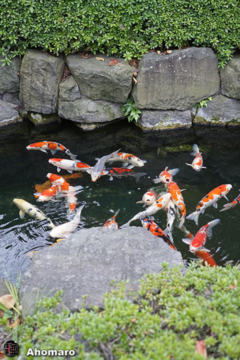 写真00