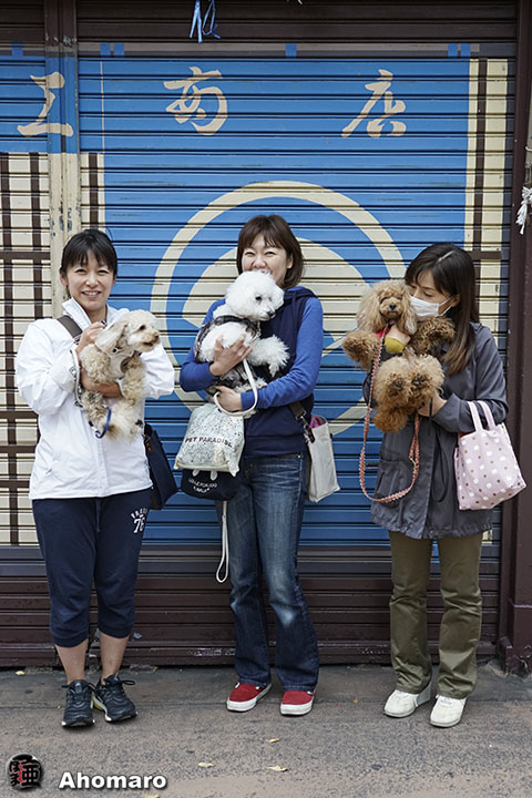 写真00