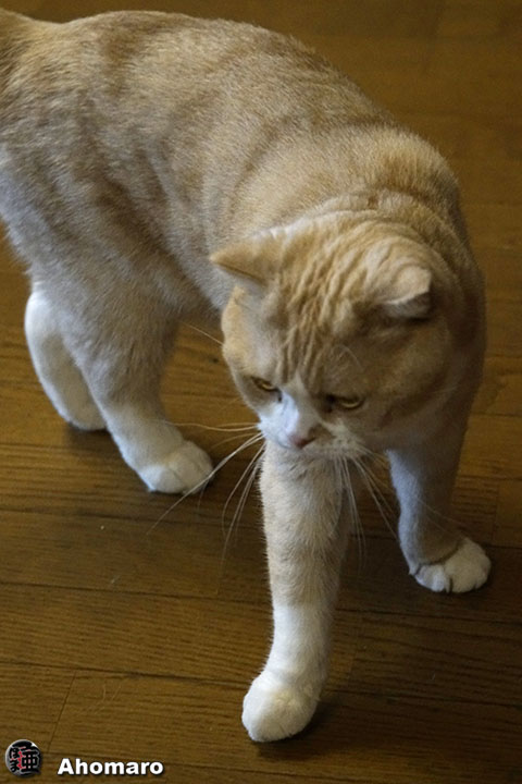 写真00