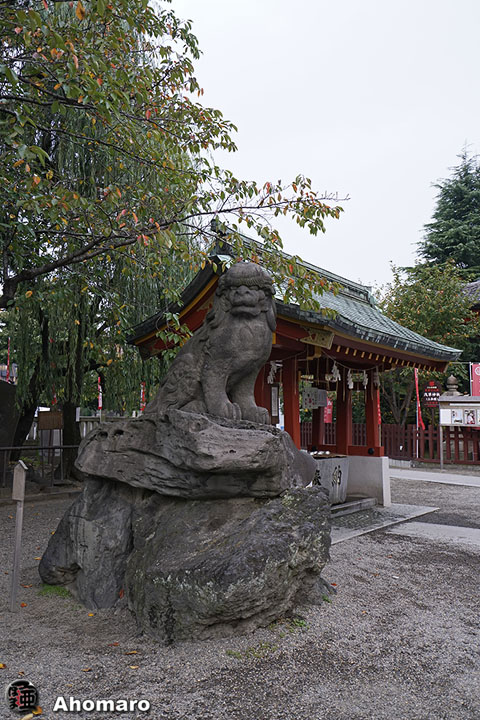 写真00