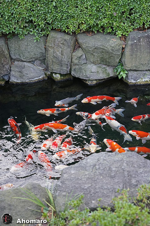 写真00