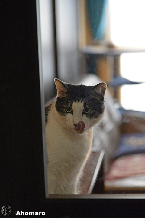 写真00