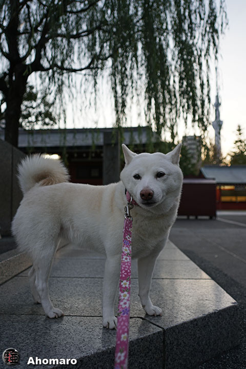 写真00