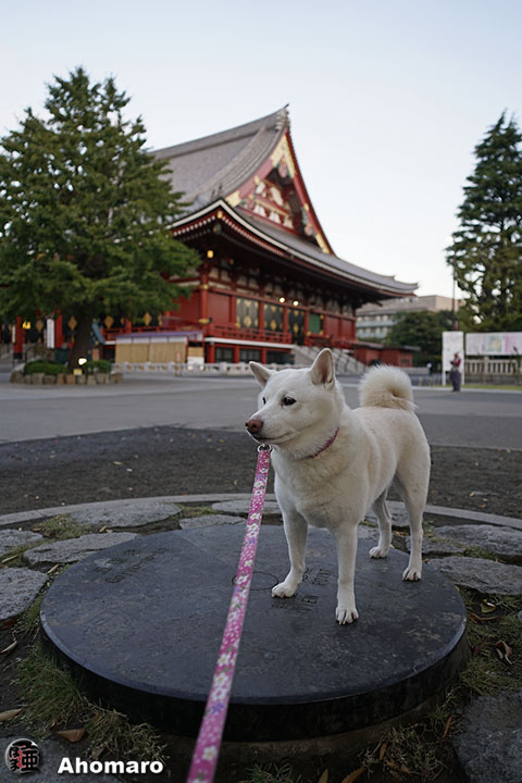 写真00