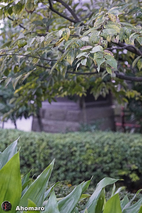 写真00