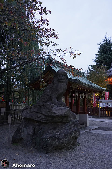 写真00
