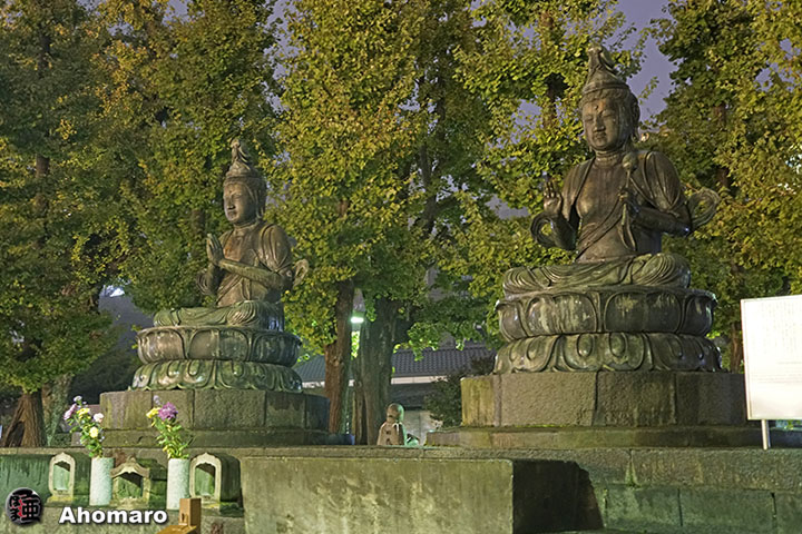 写真00