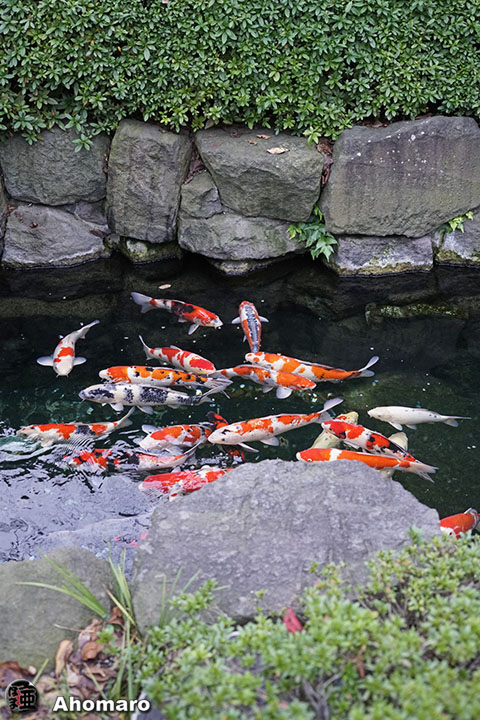 写真00
